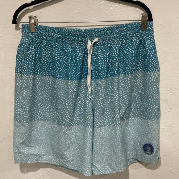 Brand new Chubbies Blue and White Swim Shorts Mesh Liner; 7” in seam Large - Picture 1 of 6